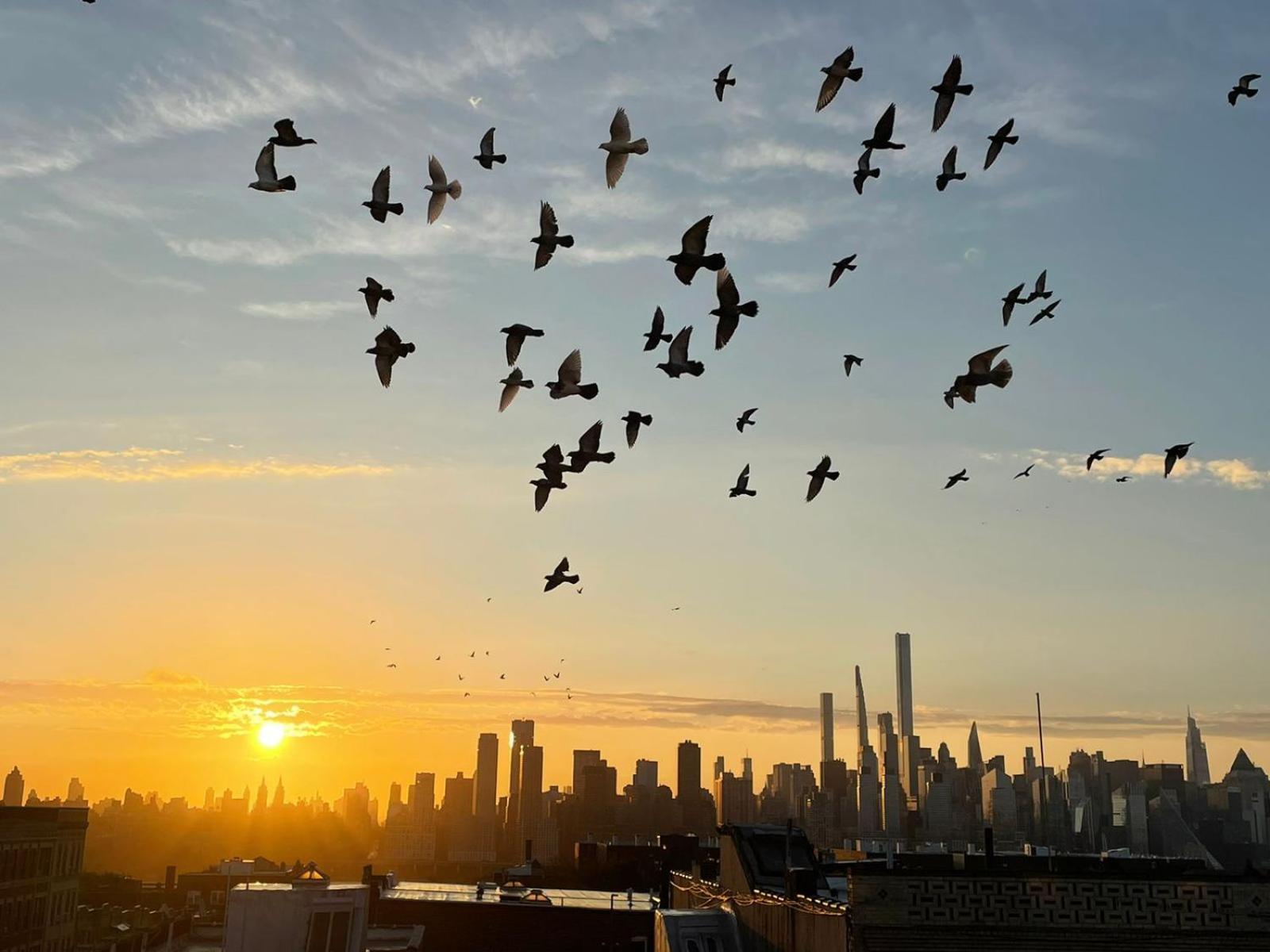 Ferienwohnung Ny Skyline One Of A Kind View Union City Exterior foto